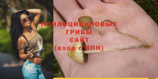 MESCALINE Арсеньев