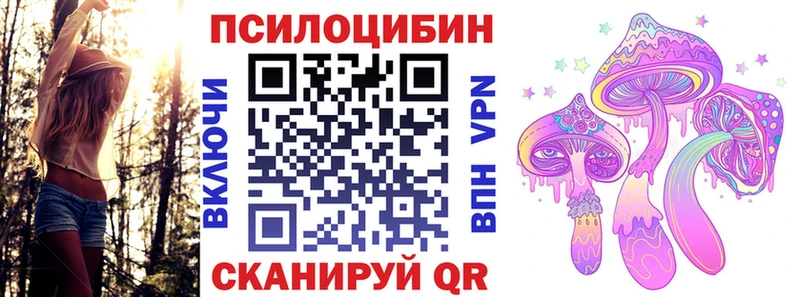 Галлюциногенные грибы Magic Shrooms  продажа наркотиков  Сердобск 